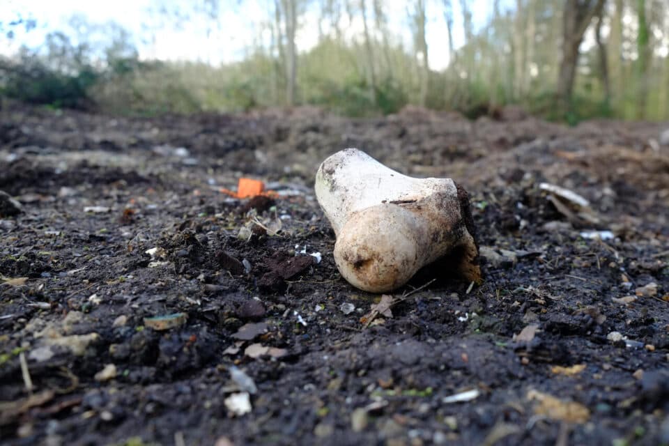 Tracy-le-Val : Des restes humains découverts dans une carrière de l’Oise
